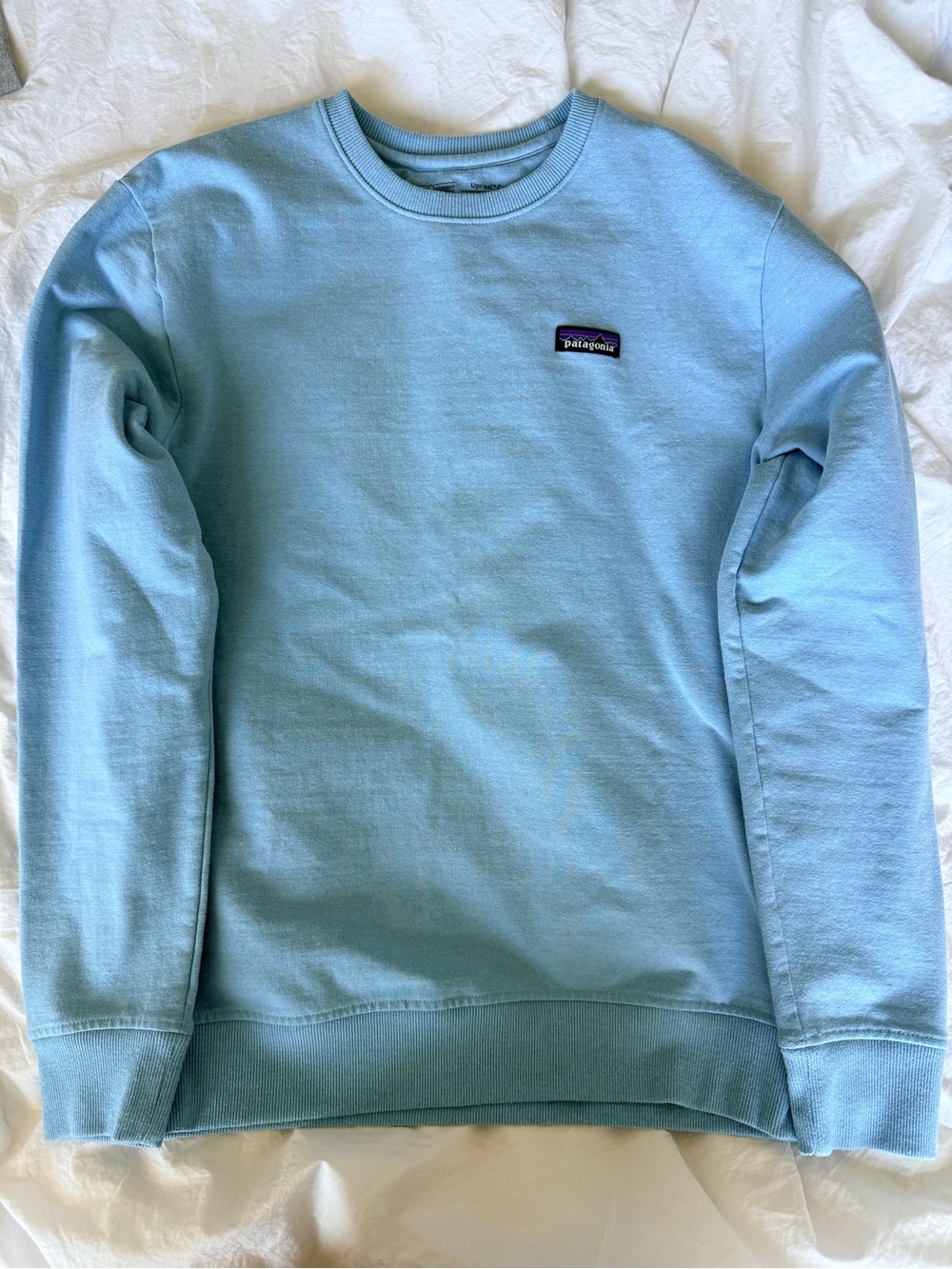 Patagonia Men’s Sky Blue Crewneck Daily Sweatshirt